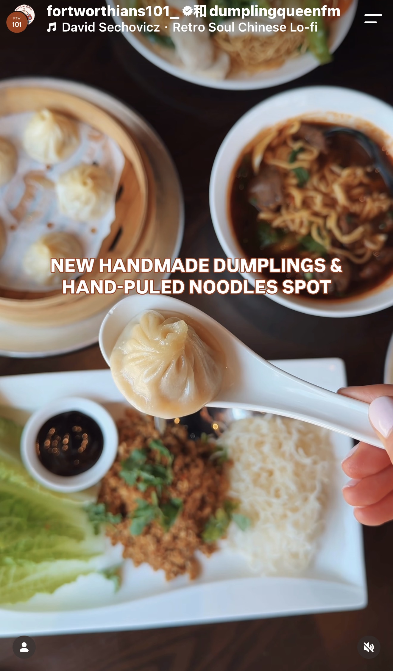 NEW MUST-VISIT HANDMADE DUMPLINGS AND HAND-PULLED NOODLES SPOT IN DFW